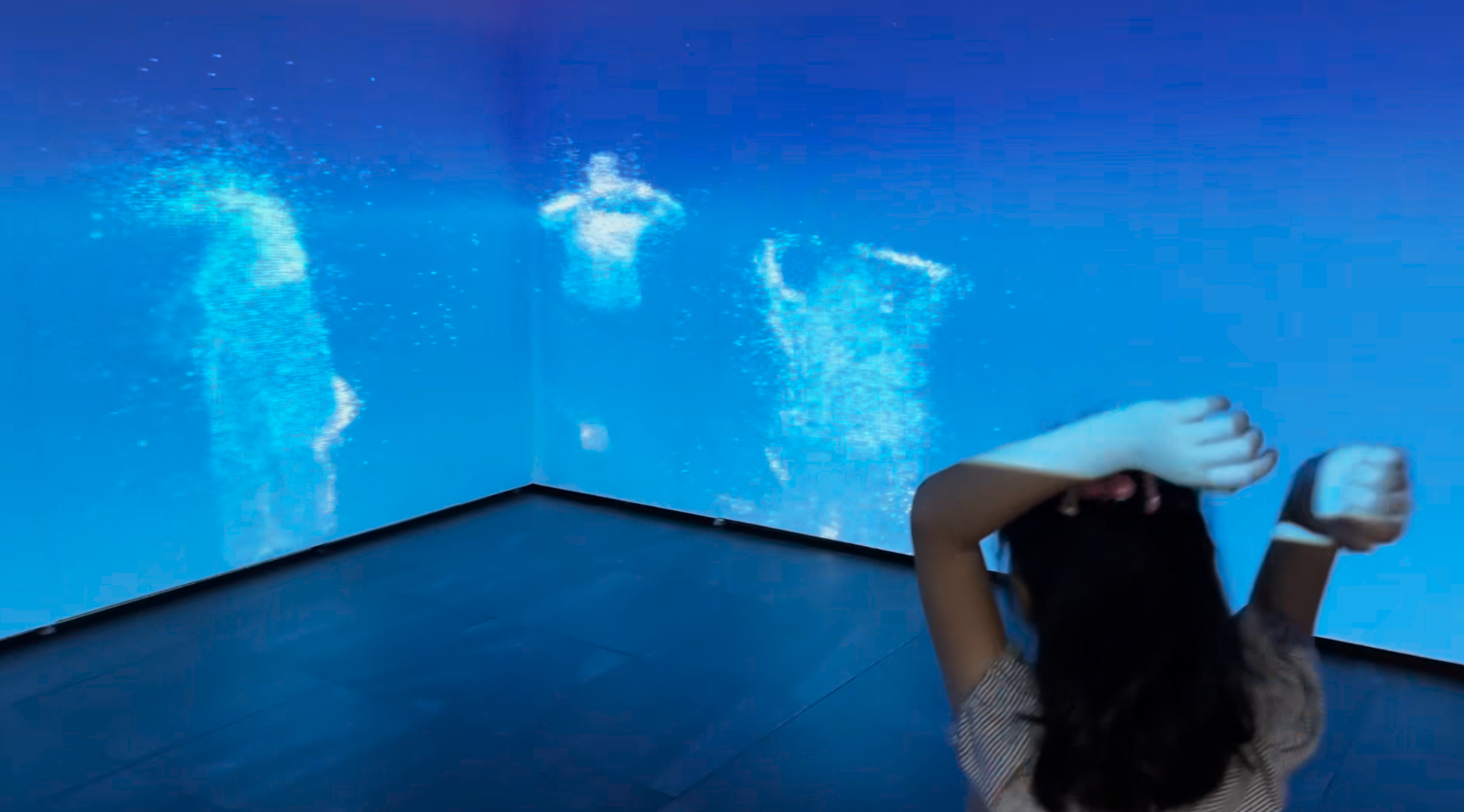 SUZUME Exhibition